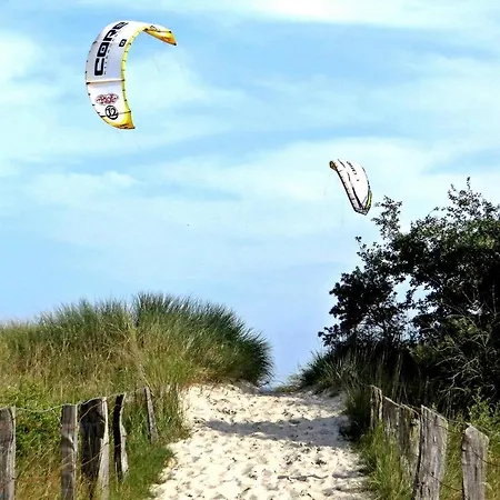 Daire Suedkap C-10 *